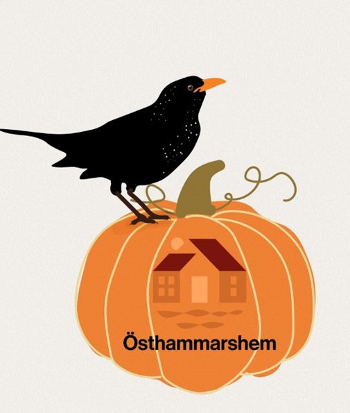 476116797_947347030710286_8452036451849978008_n