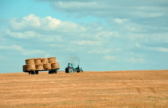 fields