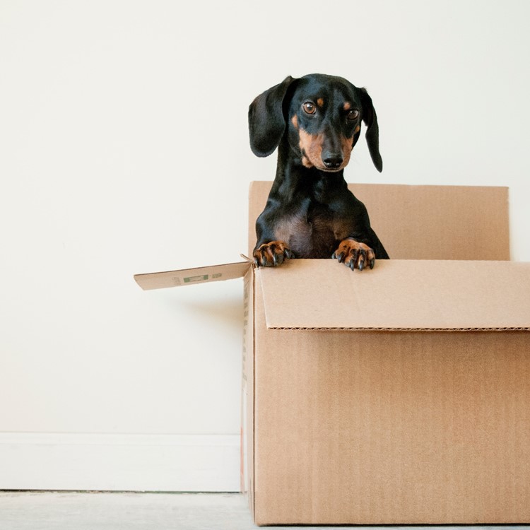 erda-estremera-sxNt9g77PE0-unsplash