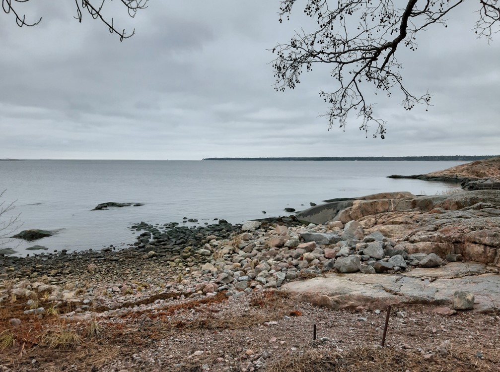 20191119_073956_resized